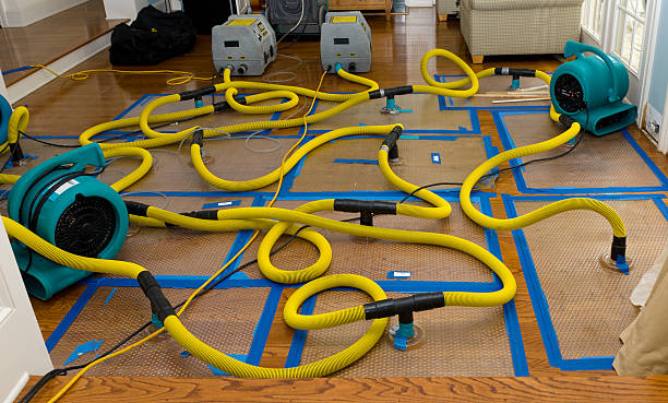 Professional Water Extraction technician working in Peabody, MA